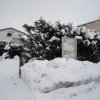 la grande nevicata del febbraio 2012 095
